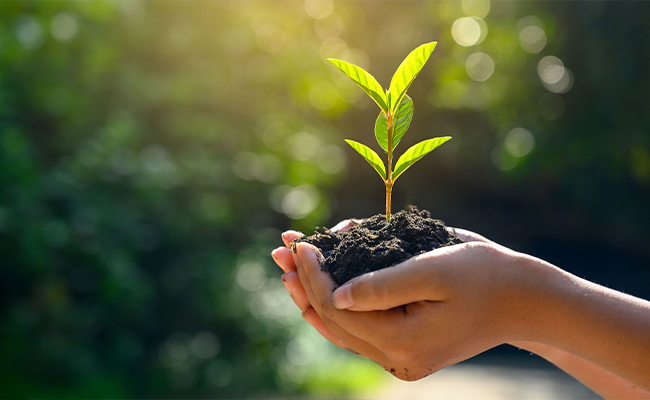 Améliorer la conscience de l'environnement des employés